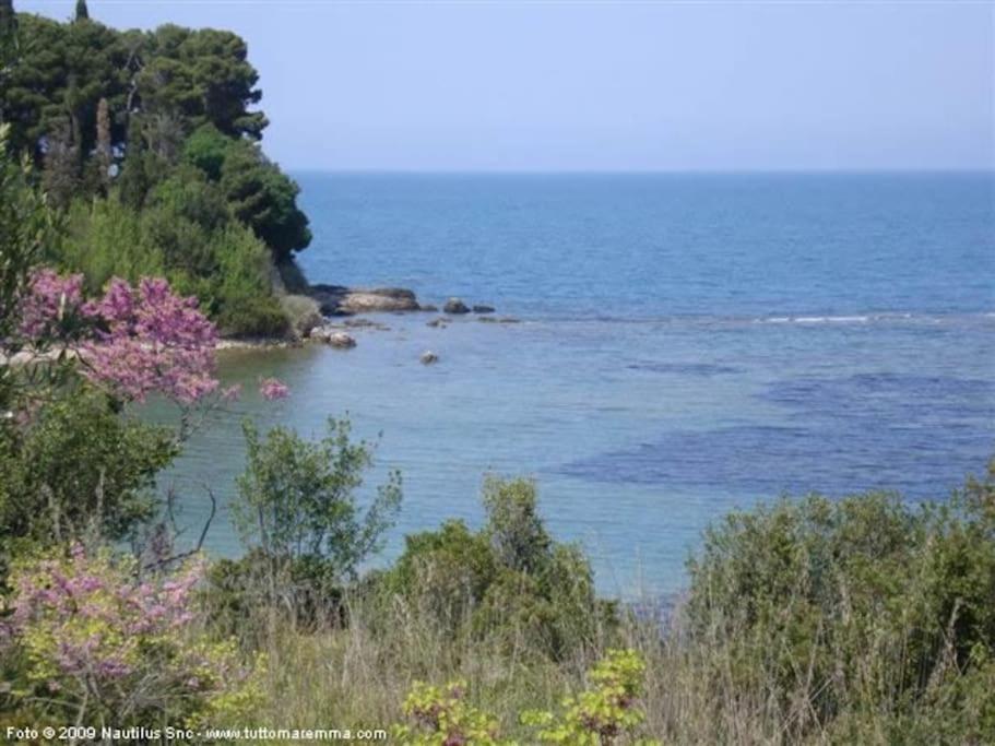 Sweet Liana Un Tuffo Nel Cuore Del Paese Porto Santo Stefano  Dış mekan fotoğraf